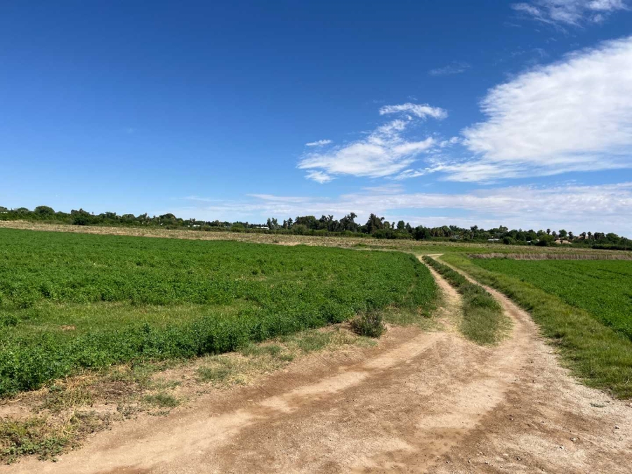 0 Bedroom Property for Sale in Middelpos Northern Cape